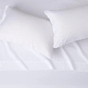 m78745.webp